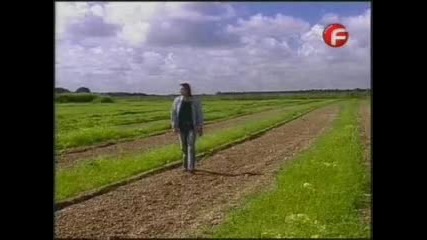 Дивата котка 102 епизод 2 част