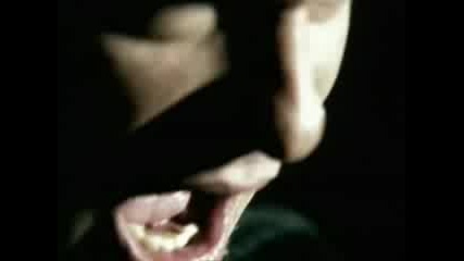 Disturbed-Stricken
