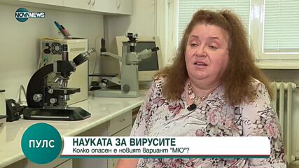 "Пулс": Проф. Радостина Александрова за варианта МЮ