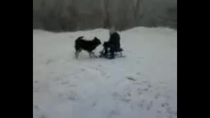 Video-0001t