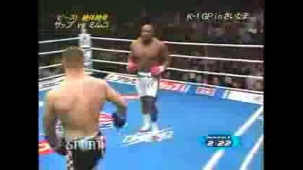 Mirko Cro Cop vs Bob Sapp 