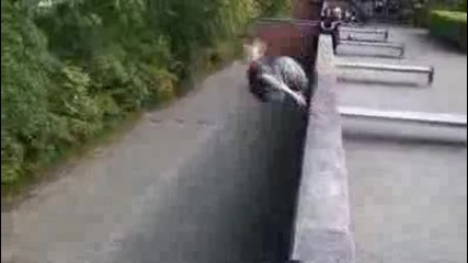 amazing freerun