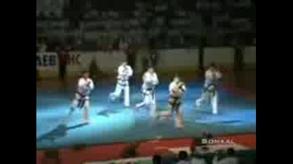 Taekwondo North Korea