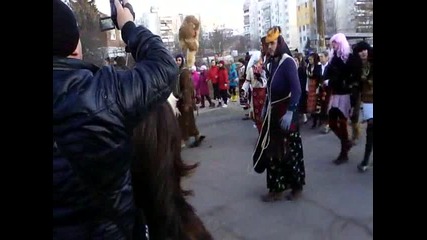 Surva Strumsko 14.01.2012(4)