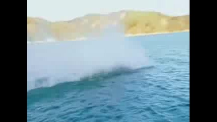 Jackass 