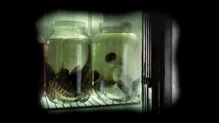 Slipknot - Wait & Bleed 