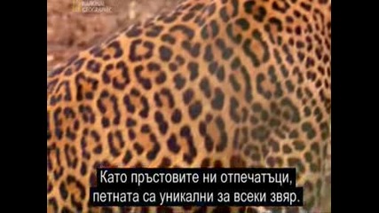 Най - Опасните Животни В Индия Част 3