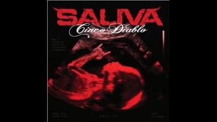 Saliva - Carry on