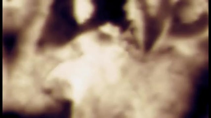 Enigma - Seven Lives