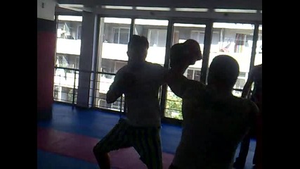 sezgo2
