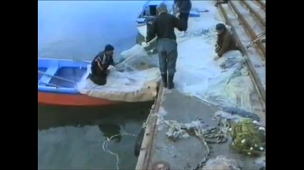 Rusi Rusev - Pesenta na ribarya