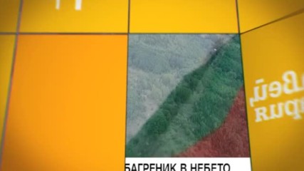 В "Здравей, България" на 3 март очаквайте