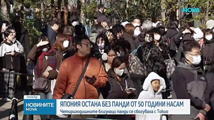 Япония остана без панди след 50 години: Близнаците Лей Лей и Сяо Сяо се връщат в Китай