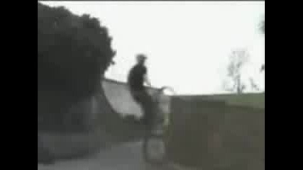 bikes 