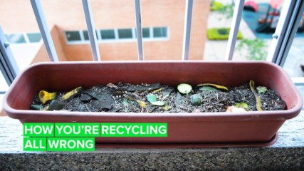 Here's the right way to recycle in the kitchen
