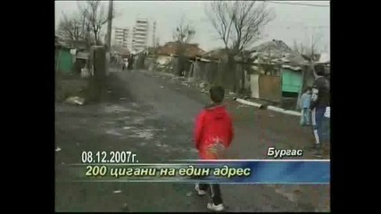 200 цигани на един адрес 