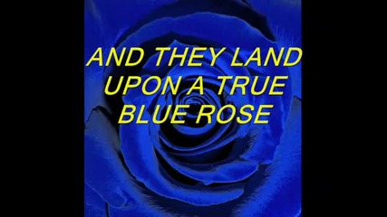 The Blue Butterfly 
