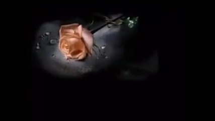 Ч Р Д Митко