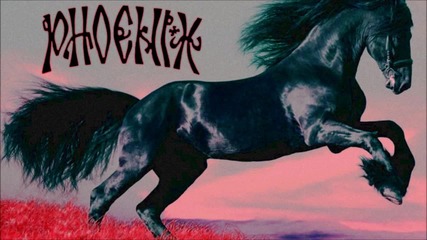 Phoenix - Strunga