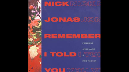 *2017* Nick Jonas ft. Mike Posner - Remember I Told You ( Acoustic version )