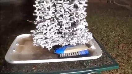 Мъж изсипва разтопен алуминий в мравуняк