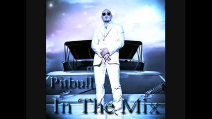 Pitbull - In The Mix (megamix) 2009 by Djck 