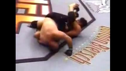 frank mir vs tank