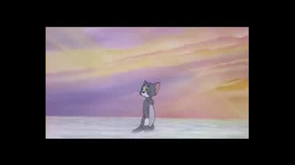 Tom & Jerry heavenly puss