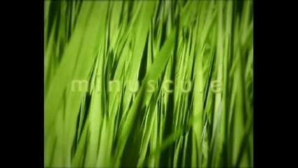Minuscule~`l'evasion