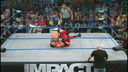 Ddt - Sting