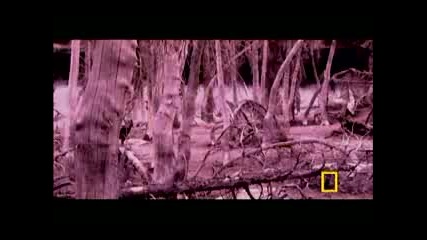 Езера - Убийци