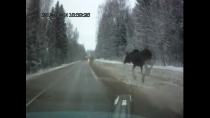 Удар от кола