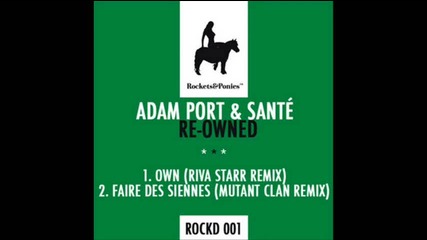 Adam Port Sante - Own (riva Starr Remix) 