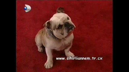 Sihirli Annem - 2.bolum / 2.kisim (2003-2006) ;;
