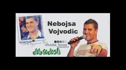 Nebojsa Vojvodic Promo 2011 - Nаstavi.flv