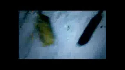Tdg - I Hate Everything About You