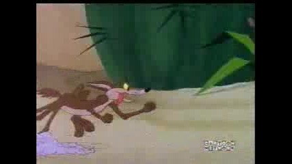 Road Runner & Wile E Coyote - 42 - Soup or Sonic