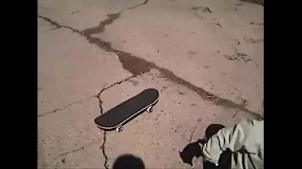 1 year old does skateboard tricks!!! 