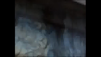 Graffiti Sdk
