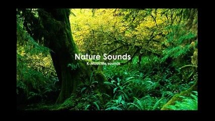 Най-успокояващите звуци от природата * 4 * Nature Sound * The Most Relaxing Sounds