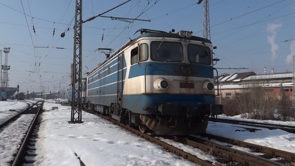 Две изолирани мечки