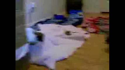 Ядосано Кученце