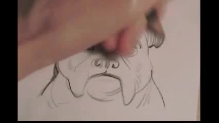 Pencil Bulldog