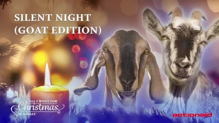 Silent Night (Goat Edition)