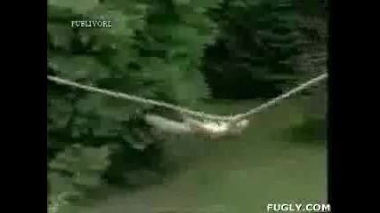 Mission Impossible - Squirrel