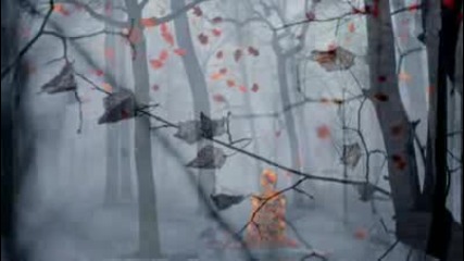 Riverside - Reality Dreams Hd 1080p