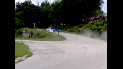 rally vida 2010 