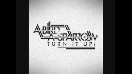 Stay Gold - A Bird A Sparrow (full Album Version) 