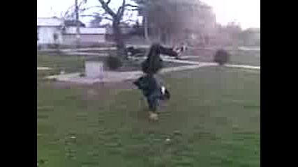 Sa6o Parkura.3gp