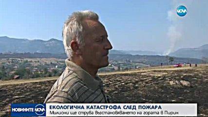 Екологична катастрофа в Пирин след пожара